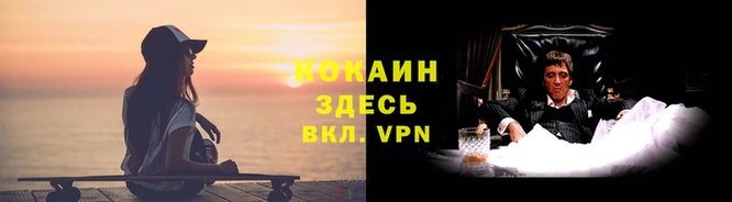 прущие крисы Арсеньев