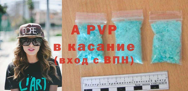индика Сатка