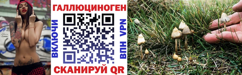 где найти наркотики  darknet Telegram  Псилоцибиновые грибы Psilocybine cubensis  Строитель 
